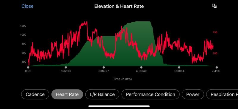 A graphic echo of the snake in my Chinese New Year bike ride Greetings to you all