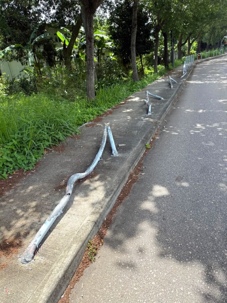 Why Does Hong Kong Have Hundreds of Kilometres of Railings and Barriers What Are They Actually For